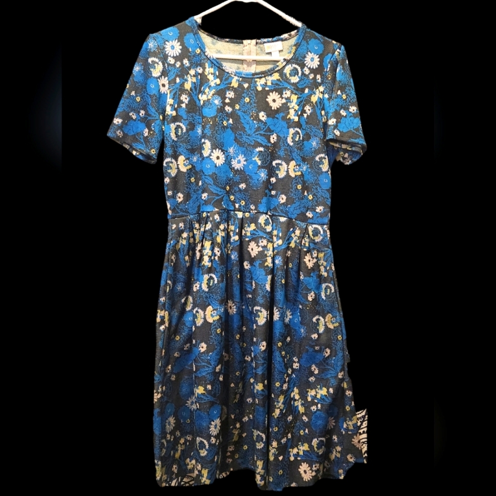 LuLaRoe Amelia swing dress